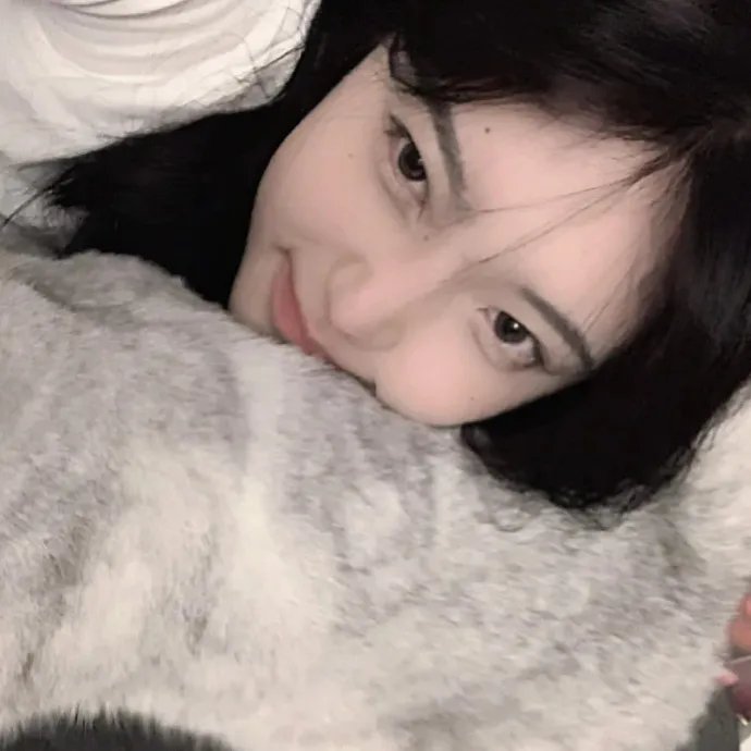 新版绿野仙踪